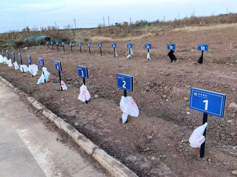 La Academia China de las Ciencias y Chaoxin Machinery Technology se unen para luchar contra el cambio climático 2